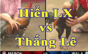 Trận Chiến giữa Hiển LX và Thắng Le: Sứ Mệnh Tái Lập Danh Tiếng Bồ Gà 67