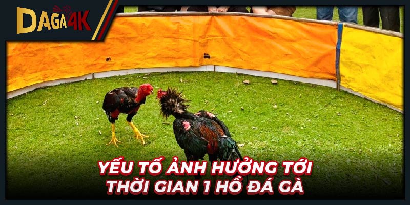 Yếu tố ảnh hưởng tới thời gian 1 hồ đá gà