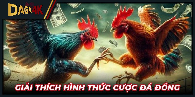 Giải thích hình thức cược đá đồng