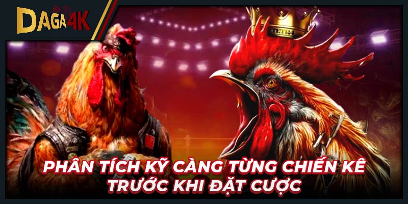 Phân tích kỹ càng từng chiến kê trước khi đặt cược