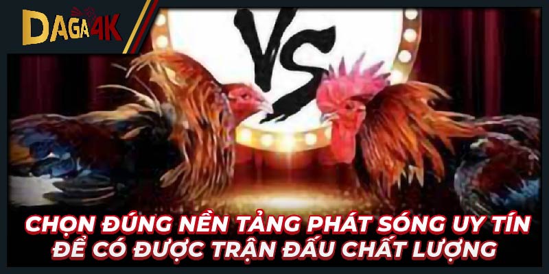 Theo dõi đá gà trên nền tảng trực tuyến vô cùng tiện lợi