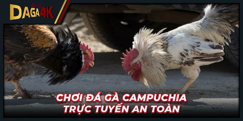 Chơi đá gà Campuchia trực tuyến an toàn