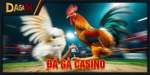 đá gà casino