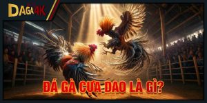 Đá gà cựa dao là gì