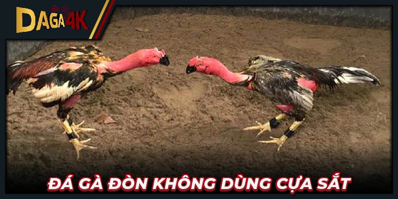 Đá gà đòn không dùng cựa sắt