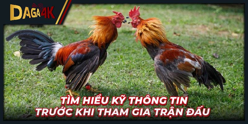 Tìm hiểu kỹ thông tin trước khi tham gia trận đấu 