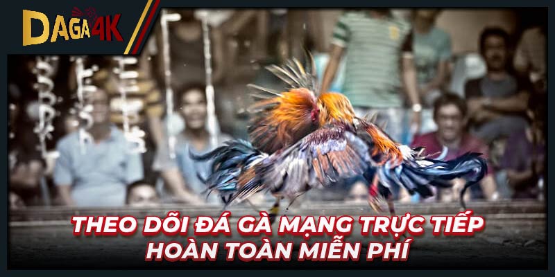 Theo dõi đá gà mạng trực tiếp hoàn toàn miễn phí