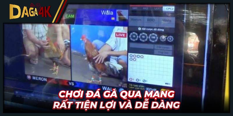 Chơi đá gà qua mạng rất tiện lợi và dễ dàng