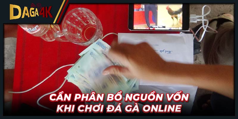 Cần phân bổ nguồn vốn khi chơi đá gà online