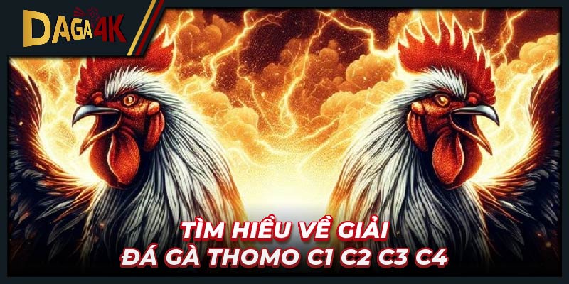 Tìm hiểu về giải đá gà Thomo C1 C2 C3 C4