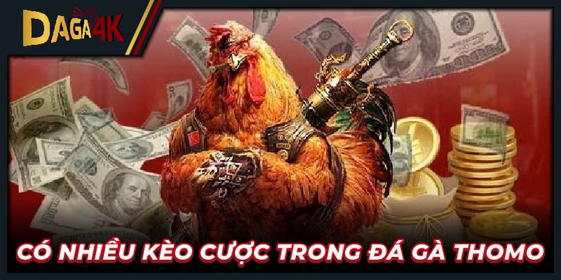 Có nhiều kèo cược trong đá gà Thomo