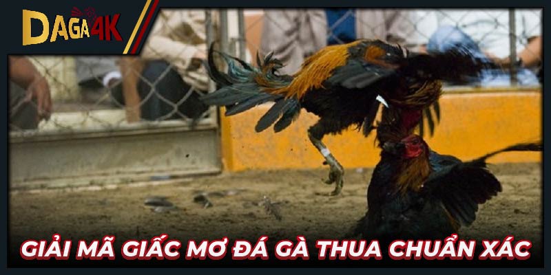 Giải mã giấc mơ đá gà thua chuẩn xác