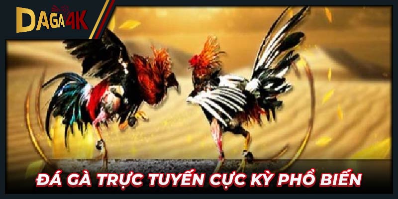 Đá gà trực tuyến cực kỳ phổ biến