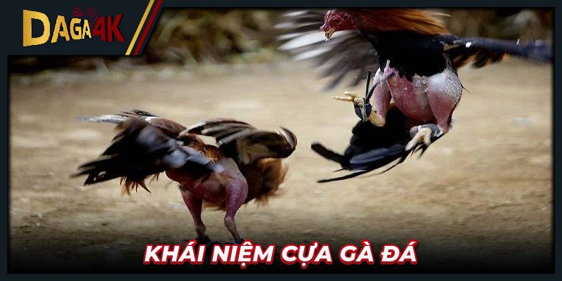 Khái niệm cựa gà đá