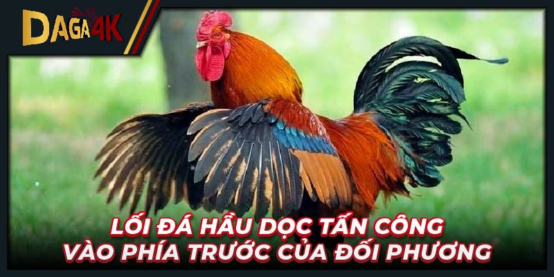 Lối đá hầu dọc tấn công vào phía trước của đối phương