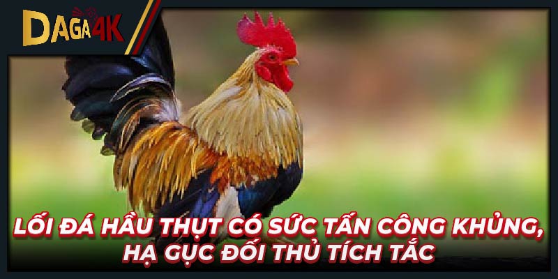 Lối đá hầu thụt có sức tấn công khủng, hạ gục đối thủ tích tắc