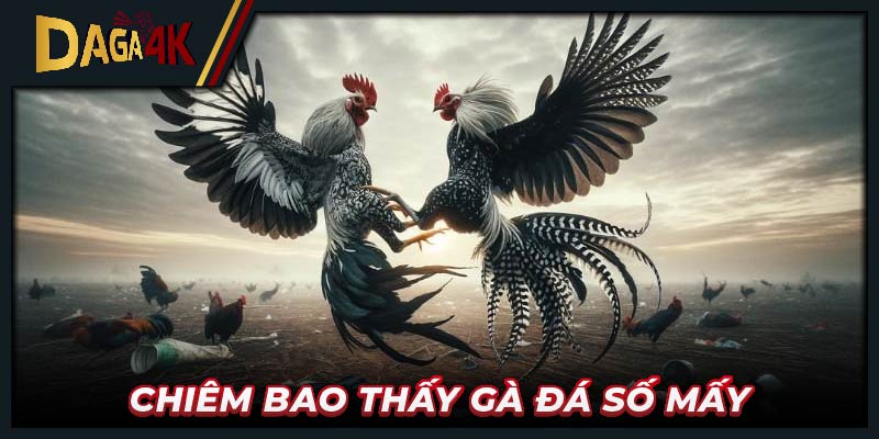 Chiêm bao thấy gà đá số mấy