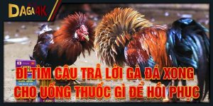 gà đá xong cho uống thuốc gì