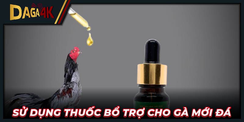 Sử dụng thuốc bổ trợ cho gà mới đá