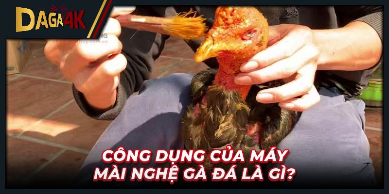 Công dụng của máy mài nghệ gà đá là gì?