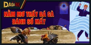 nằm mơ thấy đá gà đánh số may