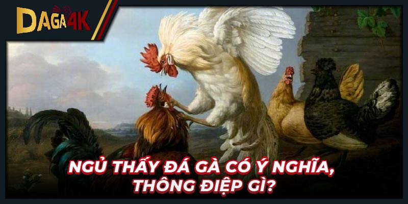 Ngủ thấy đá gà có ý nghĩa, thông điệp gì?