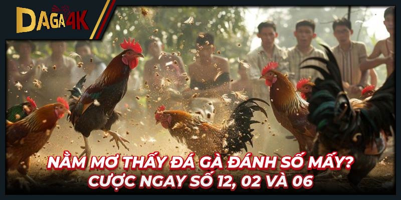 Nằm mơ thấy đá gà đánh số mấy? Cược ngay số 12, 02 và 06