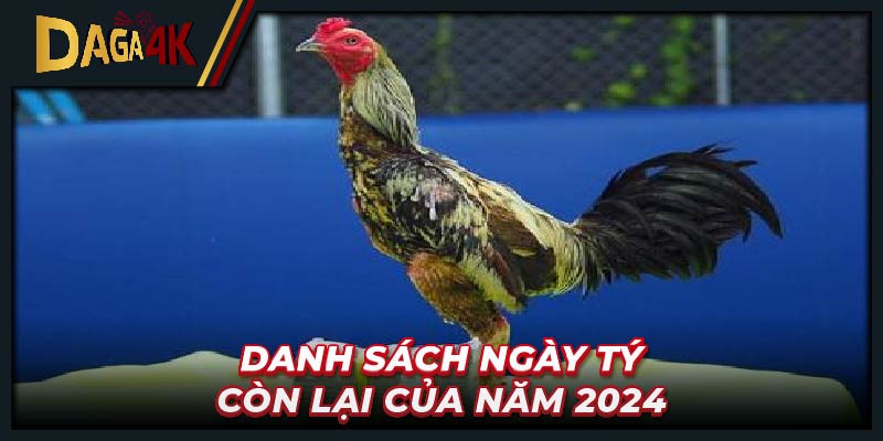 Danh sách ngày tý còn lại của năm 2024