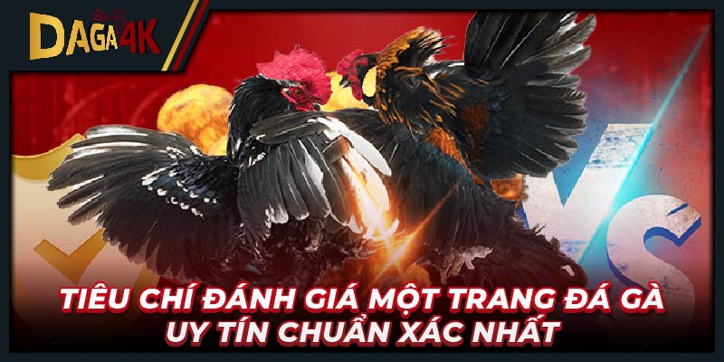 Tiêu chí đánh giá một trang đá gà uy tín chuẩn xác nhất