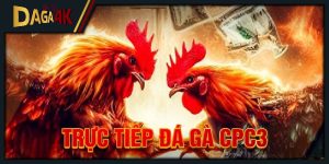 Trực tiếp đá gà CPC3 mang đến các trận đấu cực sắc nét