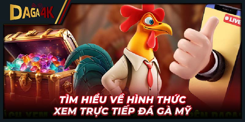 Tìm hiểu về hình thức xem trực tiếp đá gà Mỹ