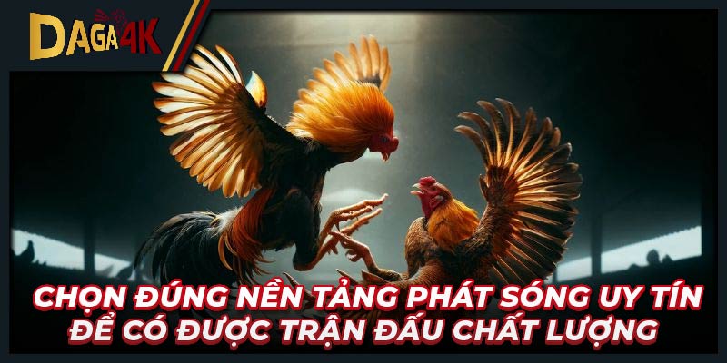 Chọn đúng nền tảng phát sóng uy tín để có được trận đấu chất lượng