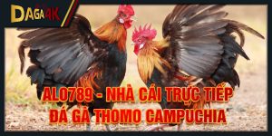 alo789 - nhà cái trực tiếp đá gà thomo campuchia