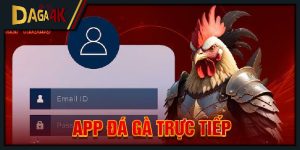 app đá gà trực tiếp