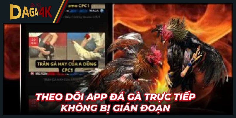 Theo dõi app đá gà trực tiếp không bị gián đoạn