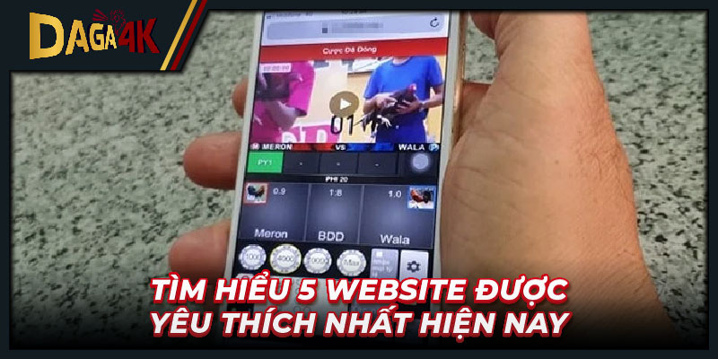 Tìm hiểu 5 website được yêu thích nhất hiện nay