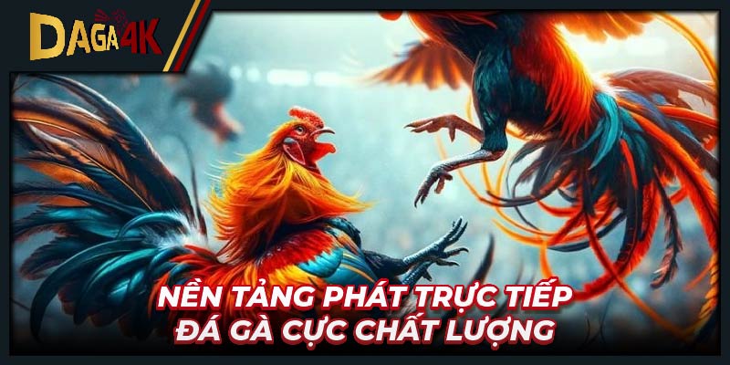 Nền tảng phát trực tiếp đá gà cực chất lượng