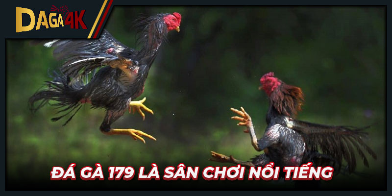 Đá gà 179 là sân chơi nổi tiếng