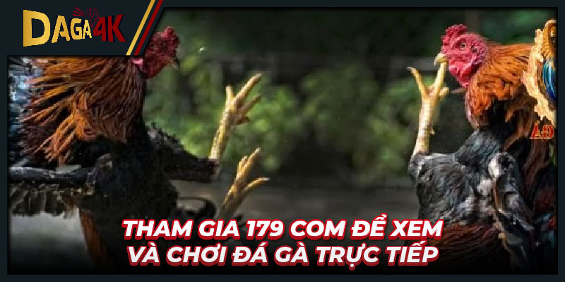 Tham gia 179 com để xem và chơi đá gà trực tiếp