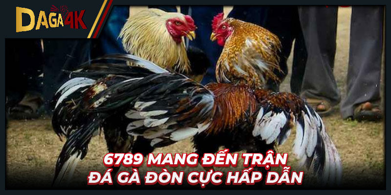 6789 mang đến trận đá gà đòn cực hấp dẫn