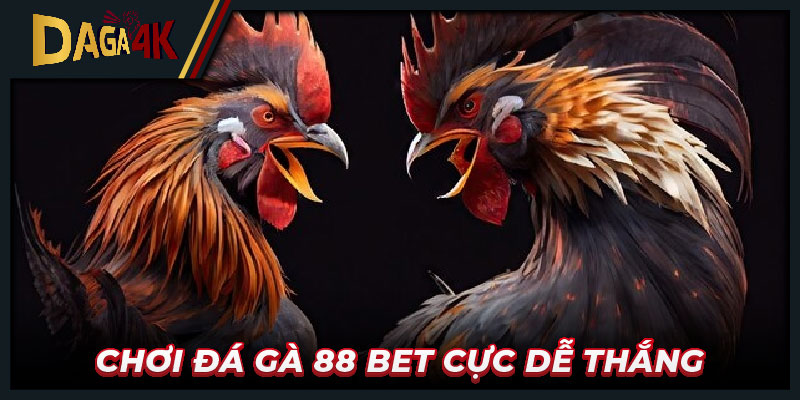 Chơi đá gà 88 bet cực dễ thắng