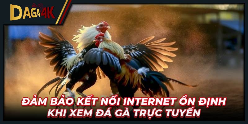 Đảm bảo kết nối internet ổn định khi xem đá gà trực tuyến