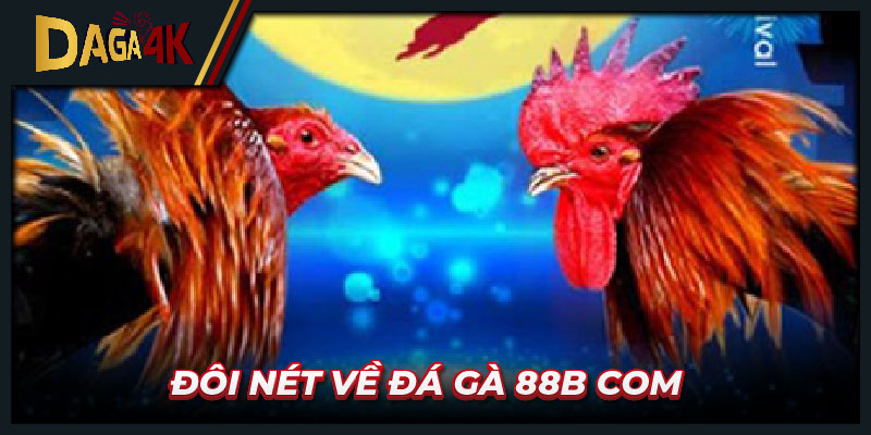 Đôi nét về đá gà 88b com