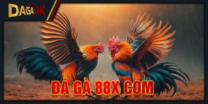 đá gà 88x com