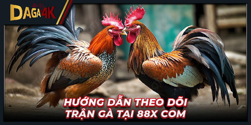 Hướng dẫn theo dõi trận gà tại 88x com