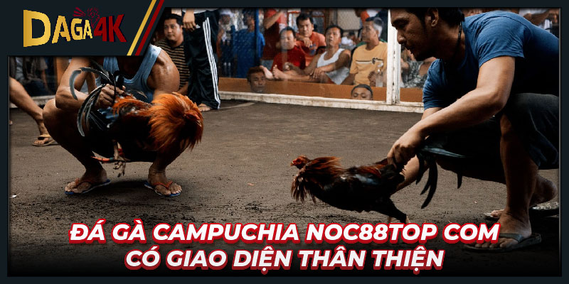 Đá gà Campuchia Noc88top com có giao diện thân thiện