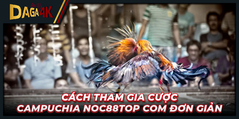 Cách tham gia cược Campuchia Noc88top com đơn giản