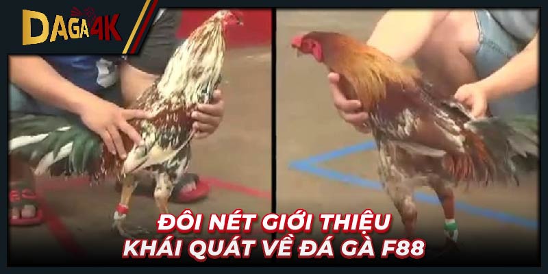 Đôi nét giới thiệu khái quát về đá gà F88