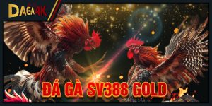 đá gà sv388 gold