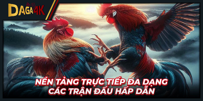 Nền tảng trực tiếp đa dạng các trận đấu hấp dẫn